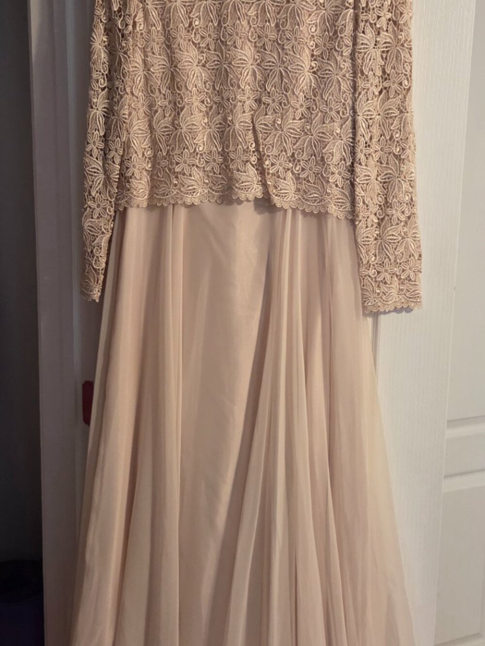 Jill Paige Original Blush Beige Size 12 100% Polyester Shell & Lining Gown - Picture 6 of 6